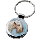 irish_soft_coated_wheaten_terrier_040-701 